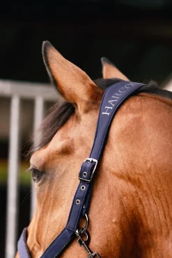 Harcour Hansy Licol et Longe| Licols