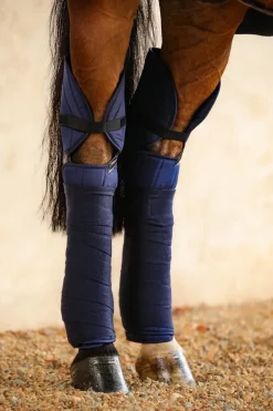 Harcour Hockease Proteges Jarrets| Protections