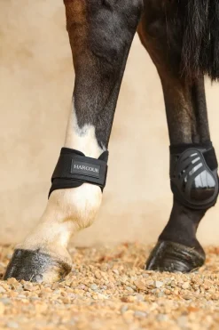 Harcour Maddi Proteges-boulets| Protections