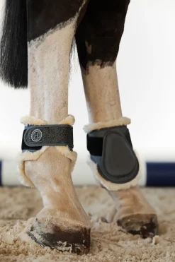 Harcour Totseen Proteges boulets| Protections