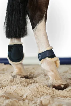 Harcour Totseen Proteges boulets| Protections