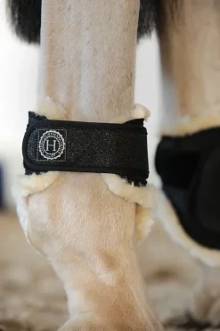 Harcour Totseen Proteges boulets| Protections